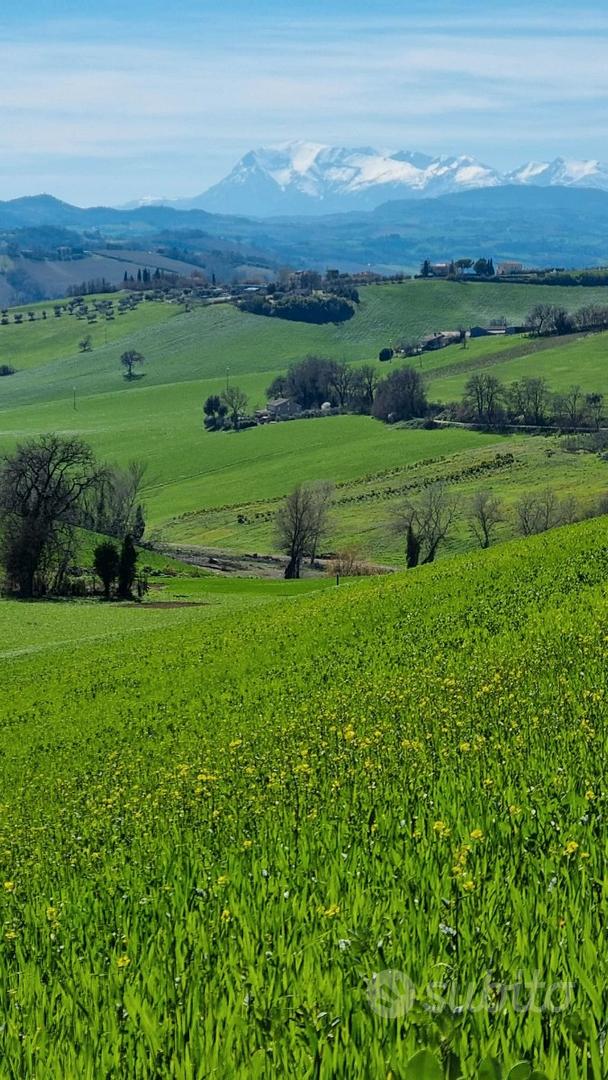 Terreno agricolo 36000 mq - Vista 2