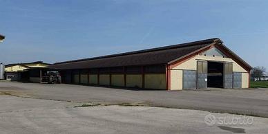 Immobile in asta di 20761 m² con 1 locale a Camisa