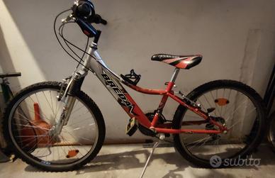 bicicletta da ragazzo