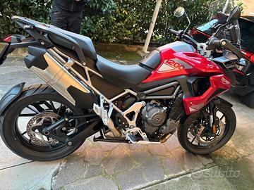 Triumph Tiger 1200 12/2024