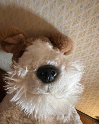 Peluche wire fox terrier vintage