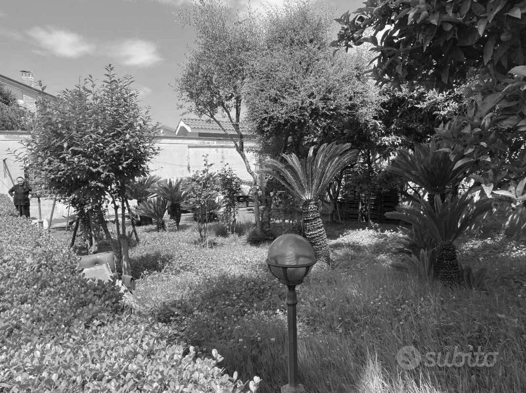 Appartamento – Casal di Principe, Caserta - Vista 3