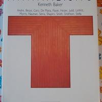 Minimalismo - Andre, Beuys, Caro, De Maria, Flavin