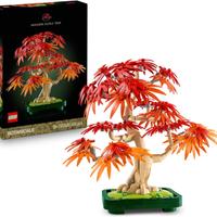 LEGO Botanicals Bonsai di Acero Rosso Giapponese -