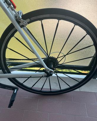 Ruote fulcrum
