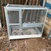 Gabbia per pappagalli