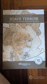 Soave Terroir. Le 33 unità agg. del Soave