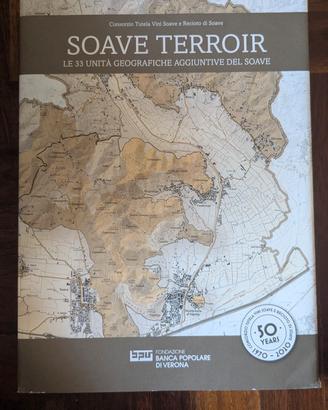 Soave Terroir. Le 33 unità agg. del Soave