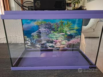 acquario 20 litri acquatlantis in vetro 