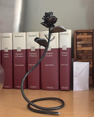 Rosa Saldata  (leggere tutto)