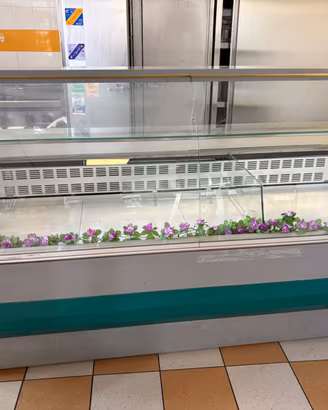 Vetrina frigo 