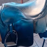 Sella stubben dressage.