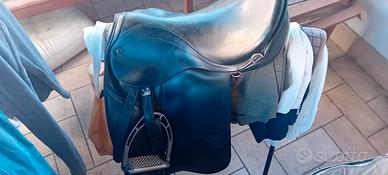 Sella stubben dressage.