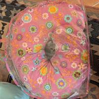 cuscino allattamento Boppy