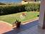 Immagine 7