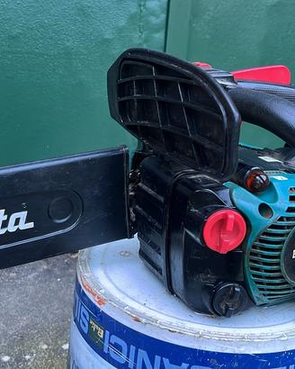 Motosega potatura