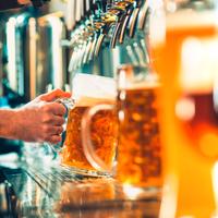 Bar Paninoteca Caffetteria