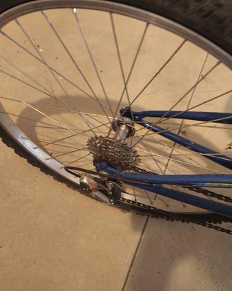 MTB biammortizzata 