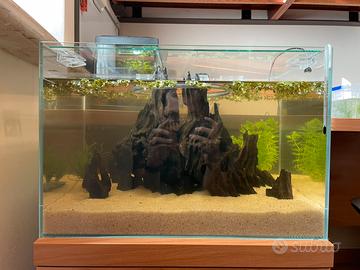 Acquario blau aquaristic 38L