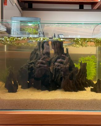 Acquario blau aquaristic 38L