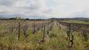 is-ammostus-terreno-regolare-fronte-strada