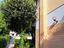 Immagine 23