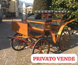 Carrozza per cavalli Paithon Esterasi Signorelli