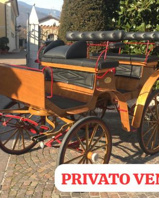 Carrozza per cavalli Paithon Esterasi Signorelli