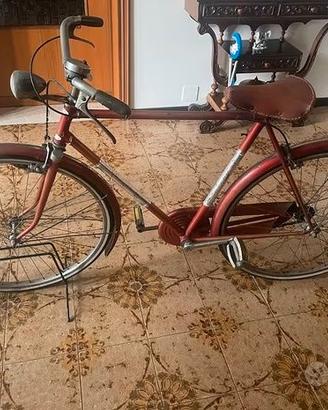 Bicicletta vintage da uomo color bordeaux