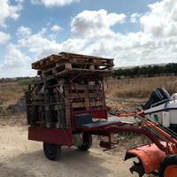 Carrello Per Motocoltivatore Pasquali O Motozappa