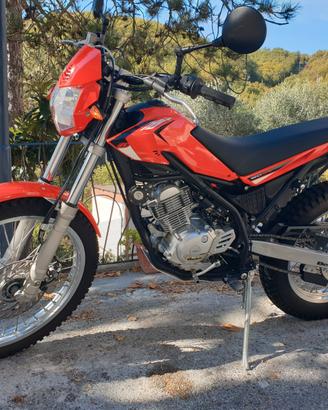 Beta Alp 125