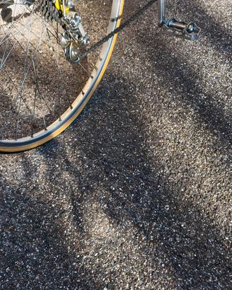 bicicletta da corsa