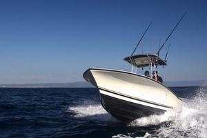 Al Custom 21 + Suzuki 150