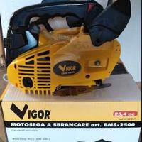 Motosega con motore a scoppio da 25 NUOVA