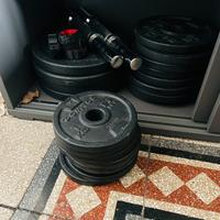 Pesi palestra: manubri, dischi, kettlebell, panca.