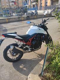honda hornet 750