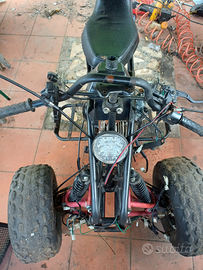 Quaud 125 4 tempi carburatore mikuni