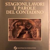 Stagioni, lavori e parole del contadino