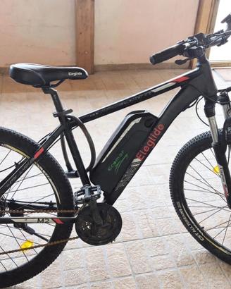 Bicicletta elettrica 