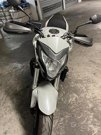 Honda Hornet 600