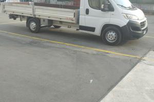 FIAT  Ducato  35 2.3 MJT 150CV PLM-SL Cabinato Max