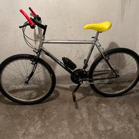 Mountan bike con copertoni nuovi