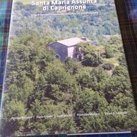 La chiesa di Santa Maria Assunta di Caprignone.