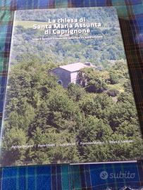 La chiesa di Santa Maria Assunta di Caprignone.