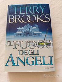 il fuoco degli angeli 