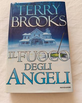 il fuoco degli angeli 