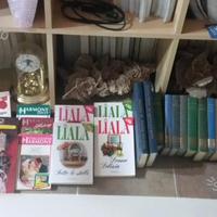 Romanzi di letteratura rosa