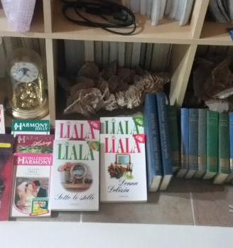 Romanzi di letteratura rosa