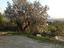 Immagine 6