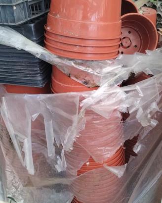 Vasi e vassoi per semina